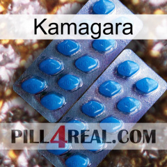 Kamagara viagra2
